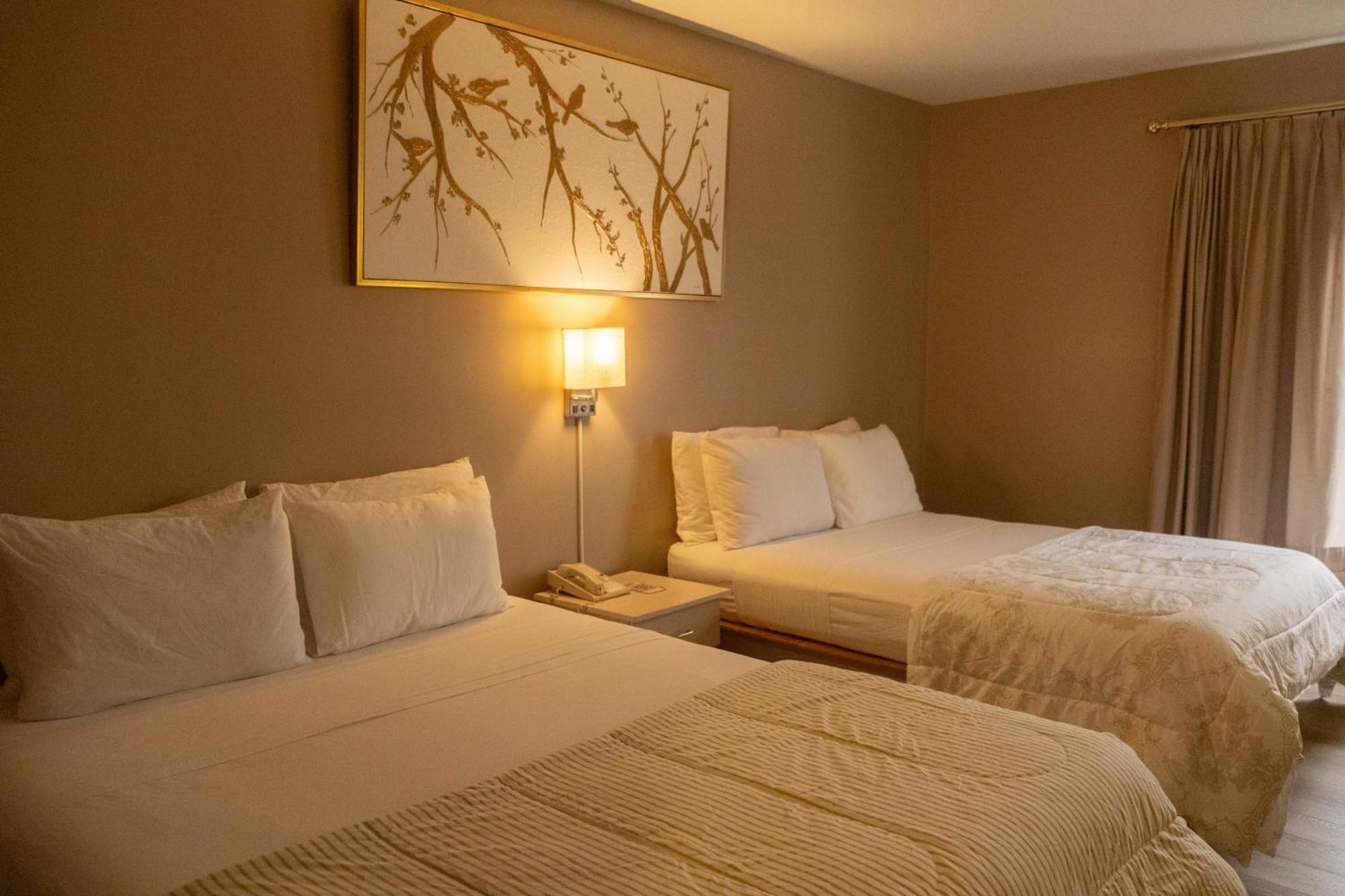 Hotel Saint-Come Esterno foto